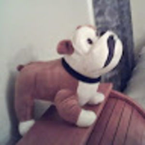 Meet your Posher, JÃ n